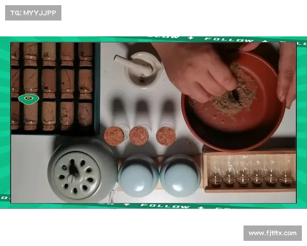 灌香糖的传统制作工艺与现代演变探析 灌香糖的传统制作工艺与现代演变探析