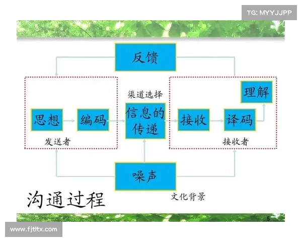 如何深入了解巴舒亚伊的语言沟通方式及其文化背景分析